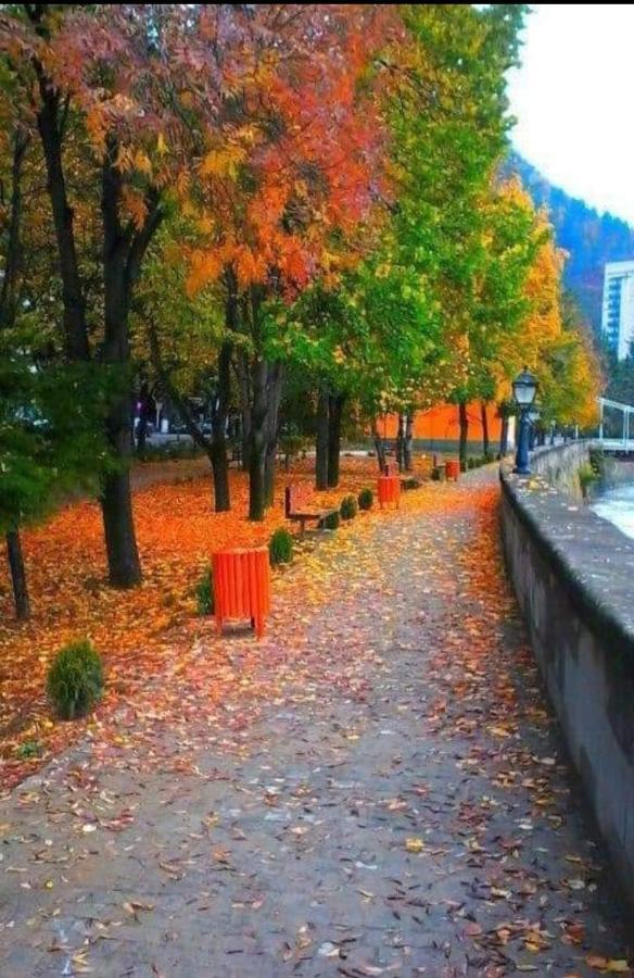 Gamsakhurdia Street Borjomi Bagian luar foto