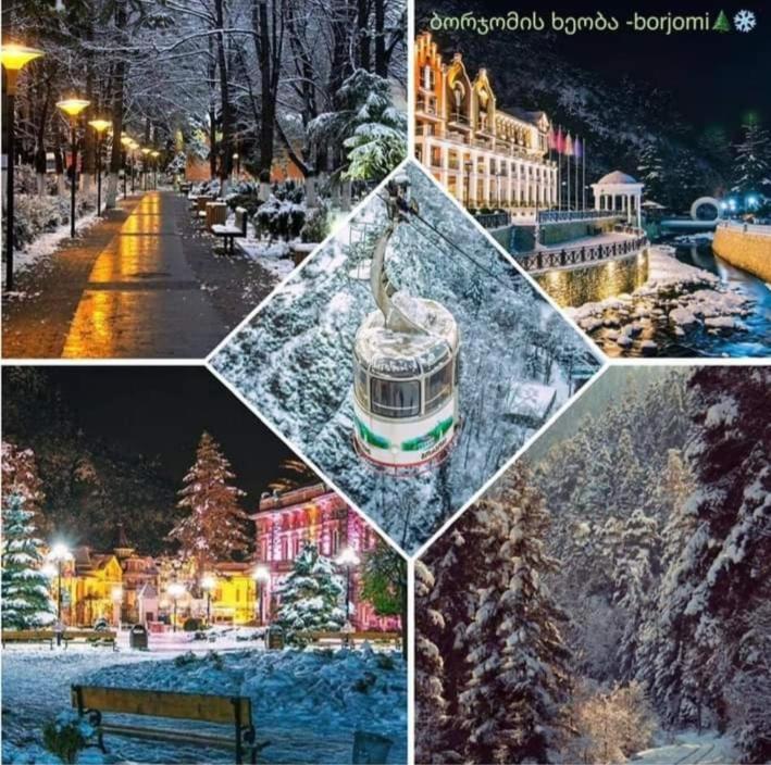 Gamsakhurdia Street Borjomi Bagian luar foto