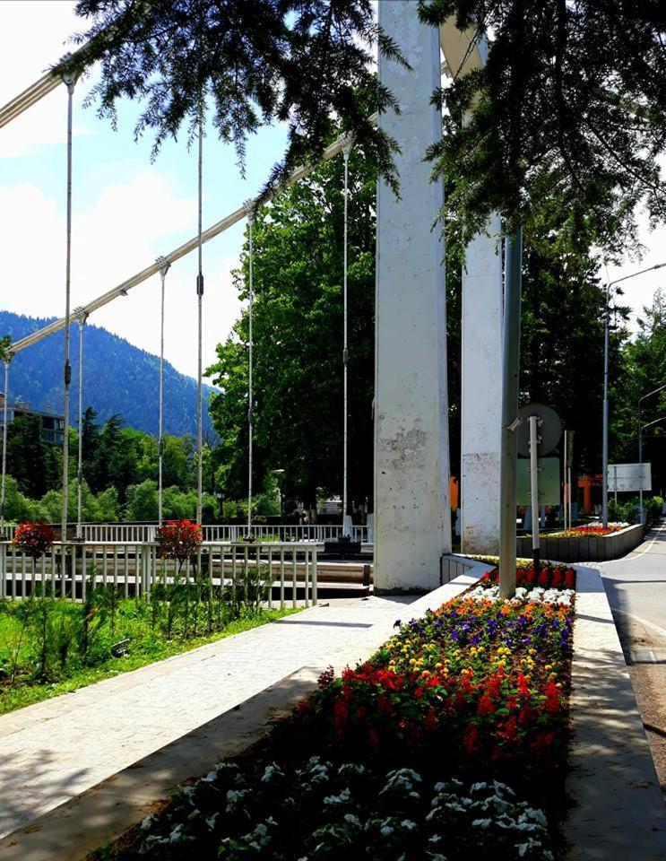 Gamsakhurdia Street Borjomi Bagian luar foto